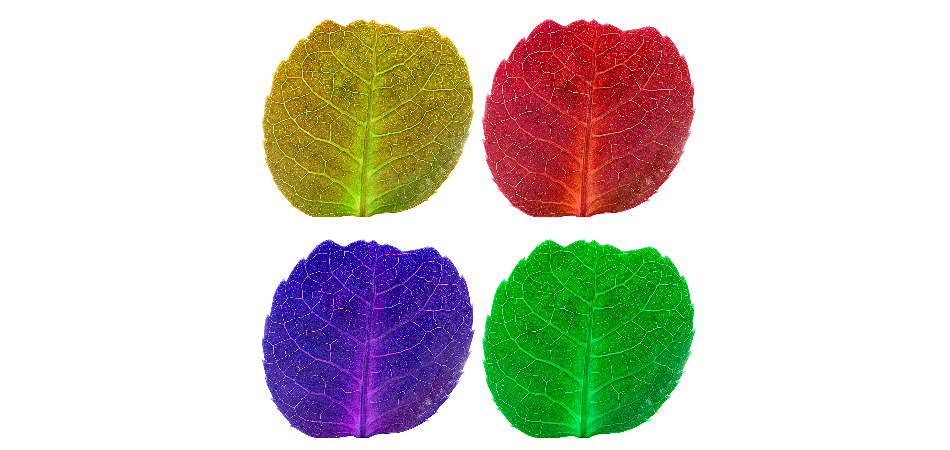 Kiểm tra chất fluorescen và vật liệu fluorescen